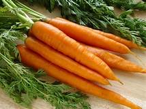 CARROTS.jpg