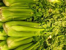 CELERY.jpg