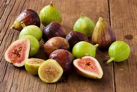 FIGS.jpg