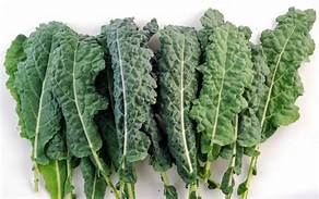 KALE.jpg