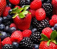 berries.jpg