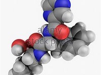 Bortezomib.JPG