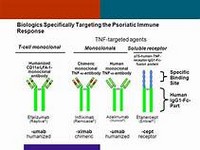 Efalizumab.JPG