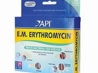 Erythromycin.JPG