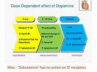dobutamine.JPG